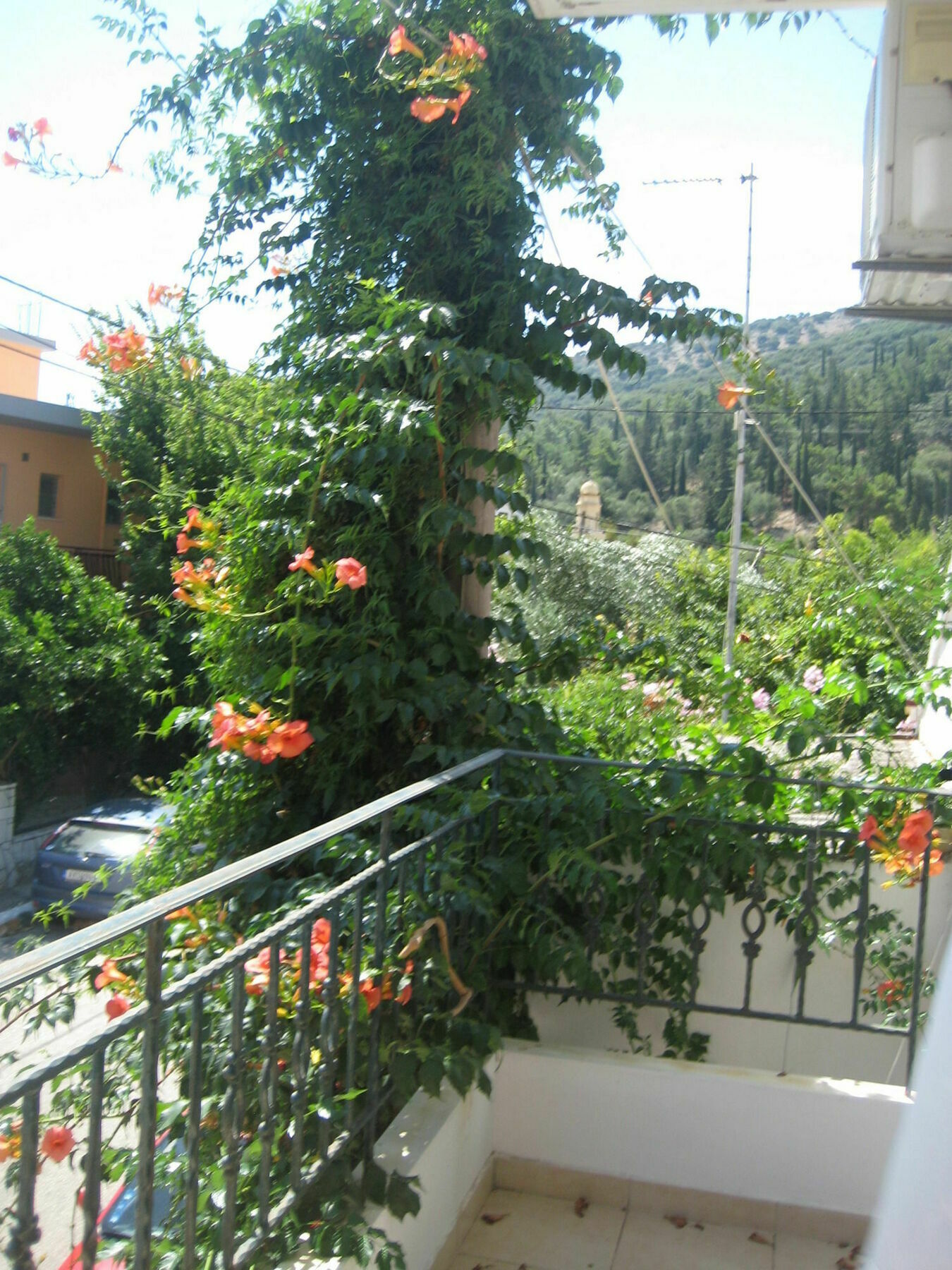 Giannos Apartments Agia Efimia Exteriér fotografie